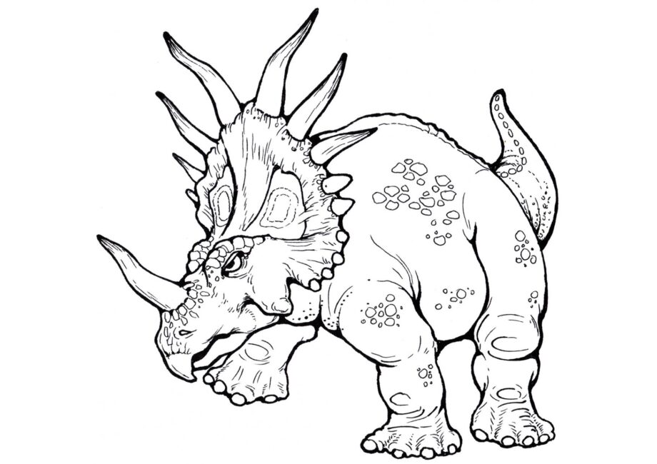 Ausmalbild von Styracosaurus