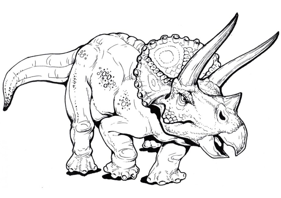 Ausmalbild von Triceratops