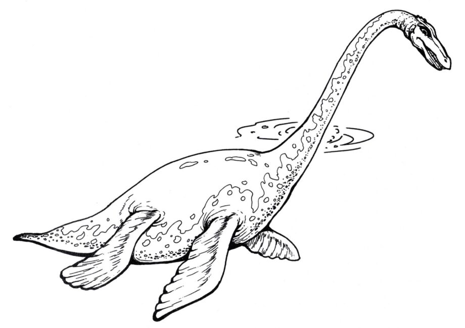 Ausmalbild von Plesiosaurus