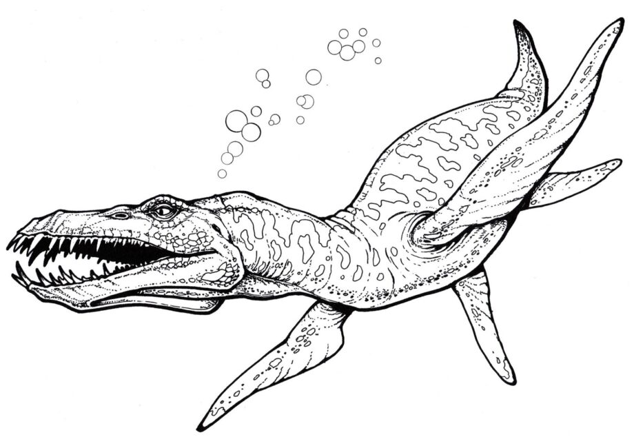 Ausmalbild von Liopleurodon