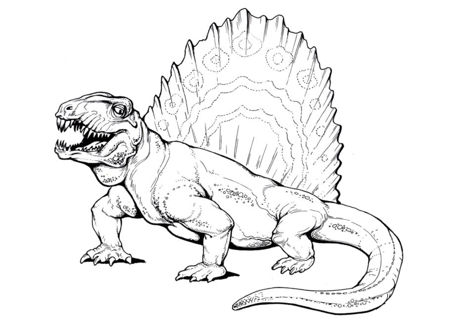 Ausmalbild von Dimetrodon