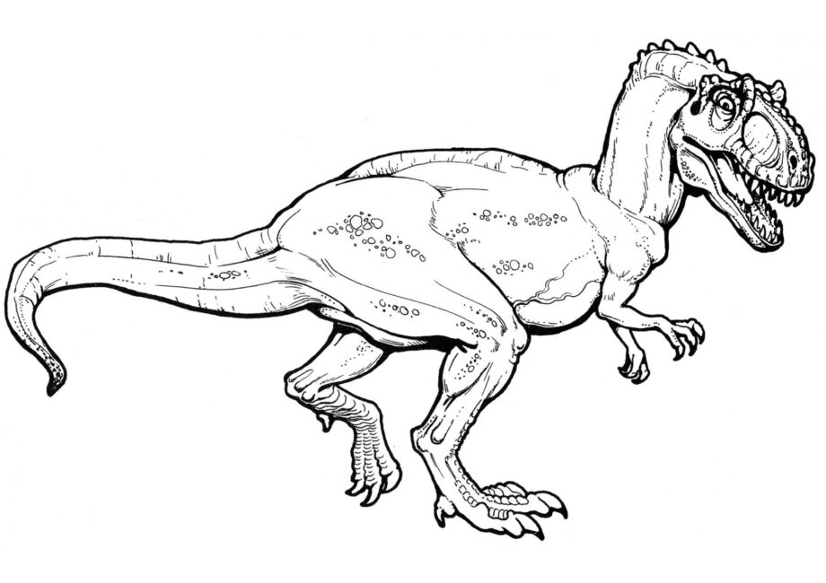 Ausmalbild von Allosaurus