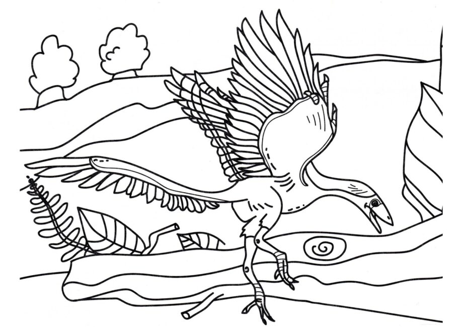 Ausmalbild von Archaeopteryx