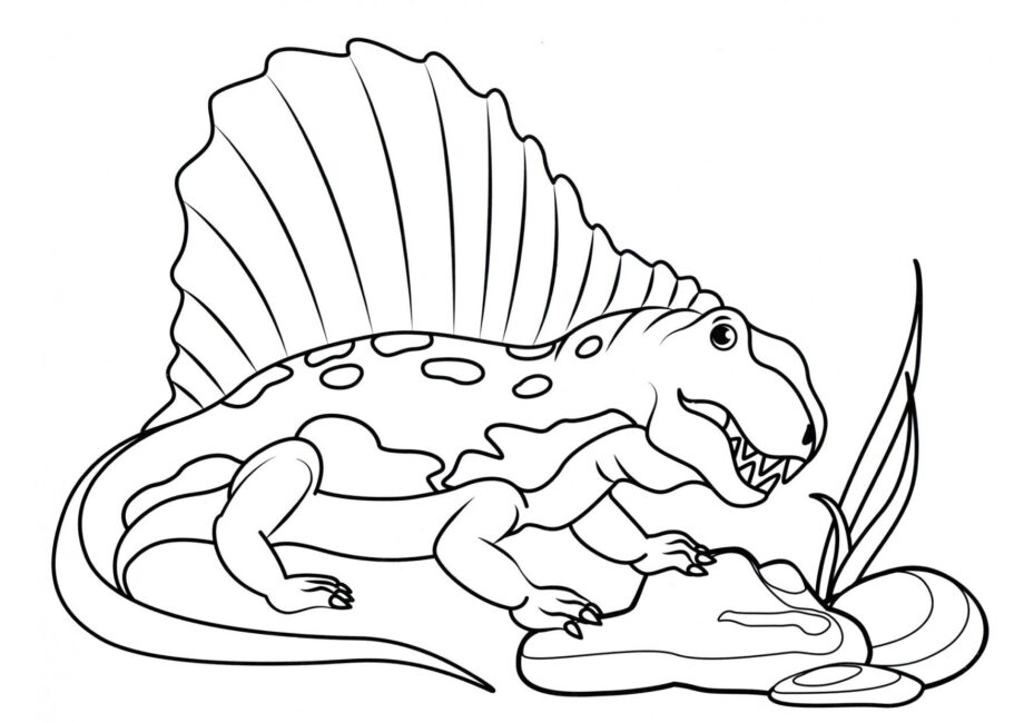 Ausmalbild von schönem Dimetrodon