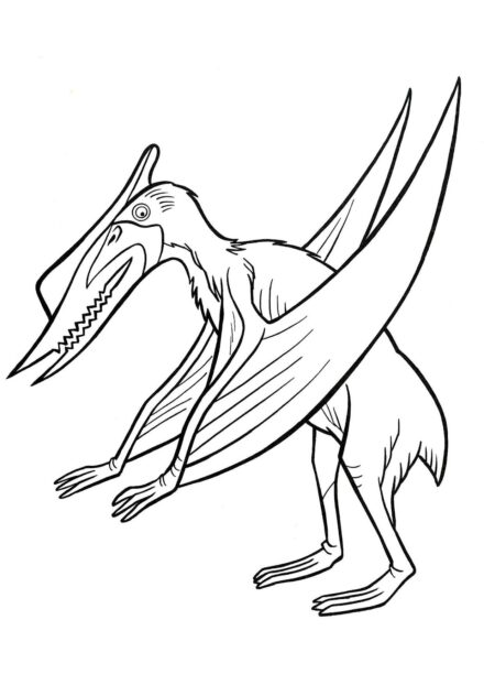 Ausmalbild von Pterodaktylus, der auf Beinen steht